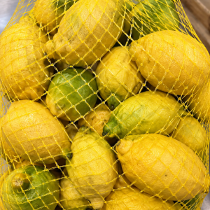 Limoni,LIMONI PRIMO FIORE FRESCHI
