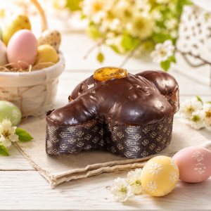 colomba con gocce di cioccolato ricoperto con cioccolato fondente