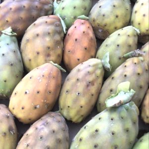 fichi d'india