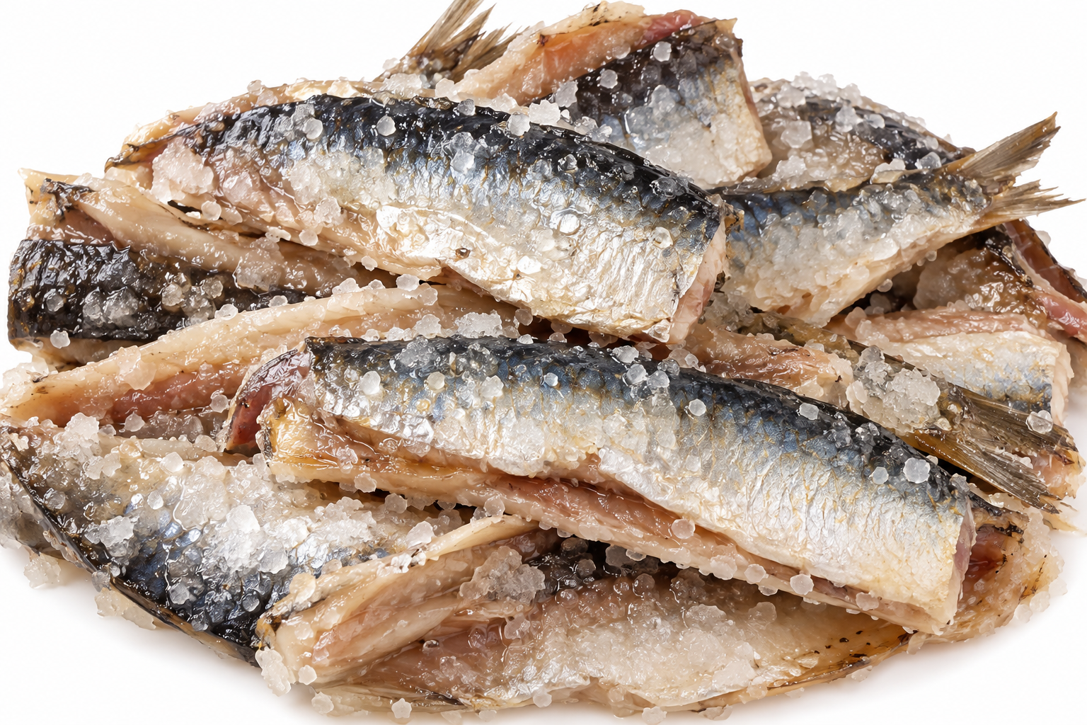 sarde sotto sale sarde sotto sale - Foto 2