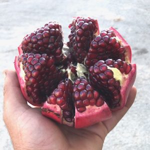 melograno siciliano