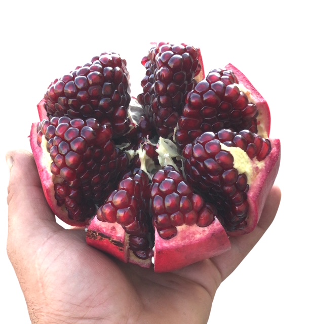 melograno siciliano melograno siciliano