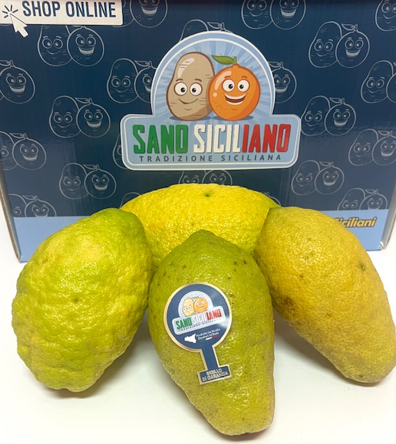 CEDRI SICILIANI CEDRI SICILIANI